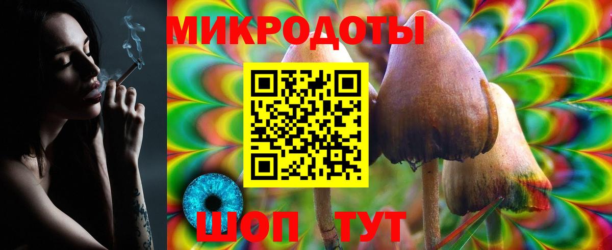 Амурск  Галлюциногенные грибы Psilocybine cubensis  Вход с VPN 