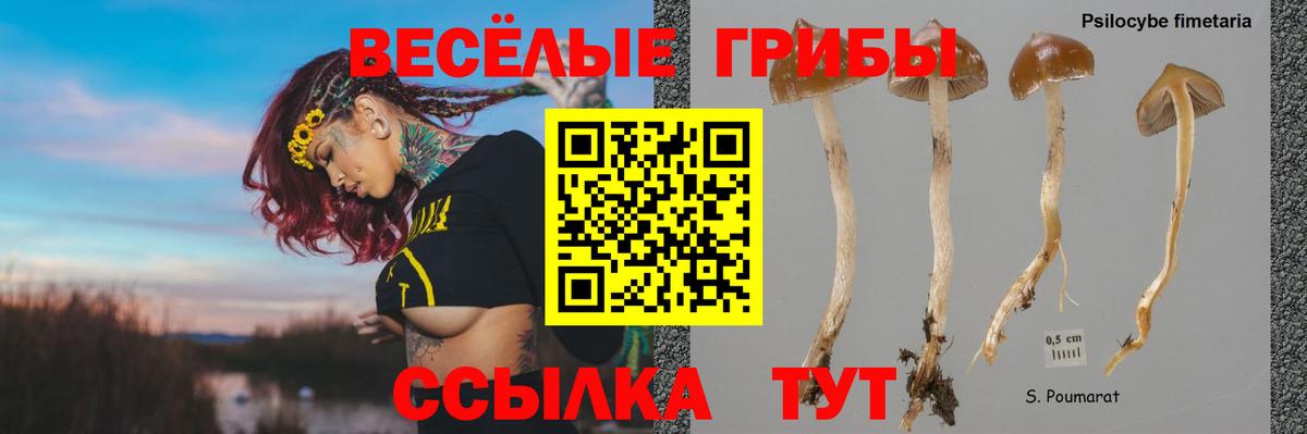 Галлюциногенные грибы Cubensis Амурск